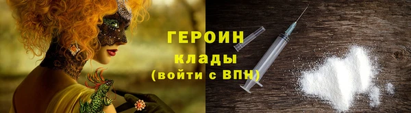 гашик Алексин