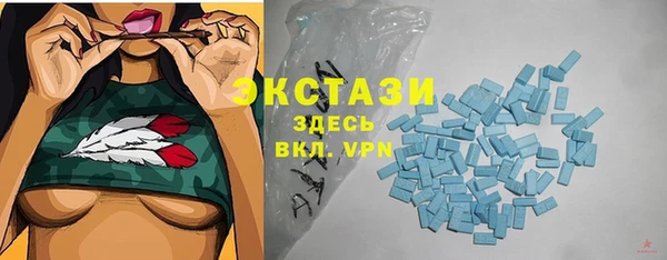 гашик Алексин