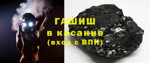 гашик Алексин