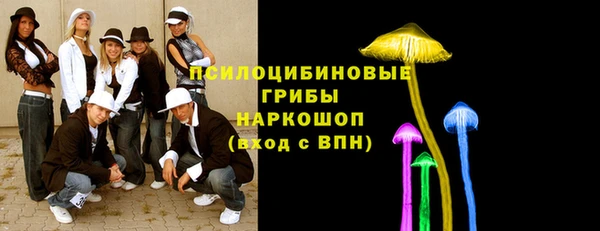 ГАЛЛЮЦИНОГЕННЫЕ ГРИБЫ Алексеевка