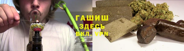 гашик Алексин