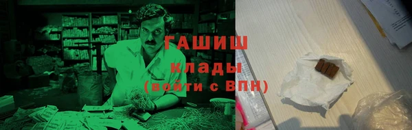 гашик Алексин