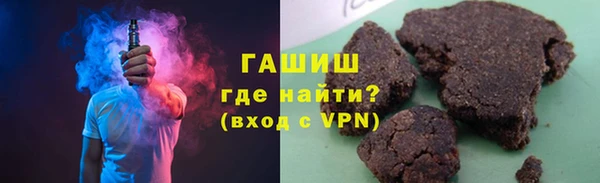 гашик Алексин
