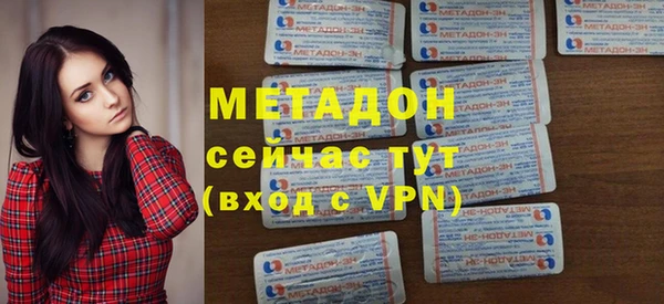 гашик Алексин
