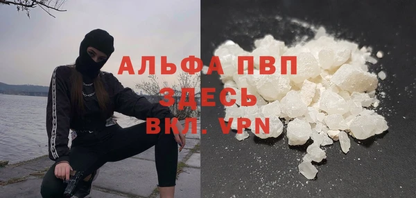 гашик Алексин