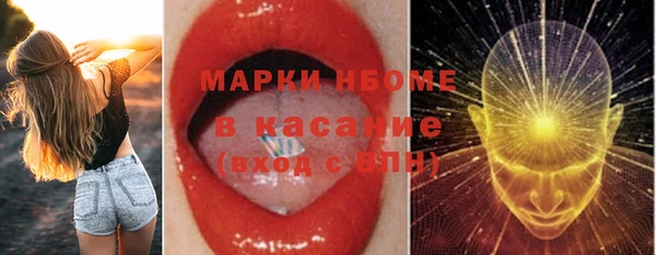 гашик Алексин