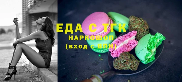 гашик Алексин