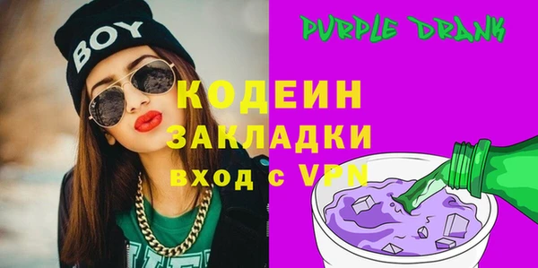гашик Алексин